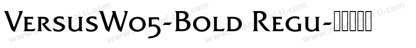 VersusW05-Bold Regu字体转换